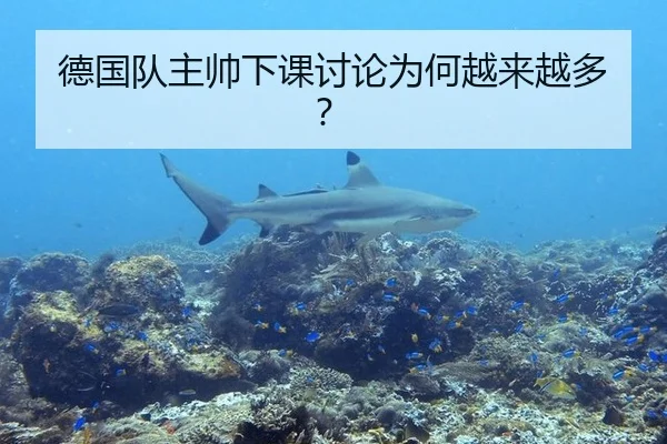 德国队主帅下课讨论为何越来越多？